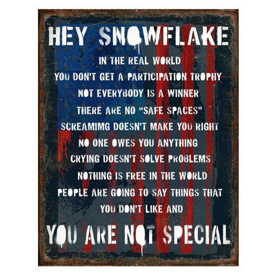 Snowflake Tin Sign