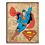 DC Superman Weathered Panels Tin Sign