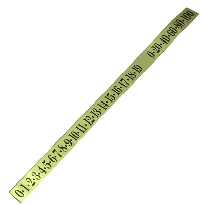 Number Strip Scoreboard 17'' 0-19/0-100