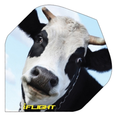 I-Flights -Cow